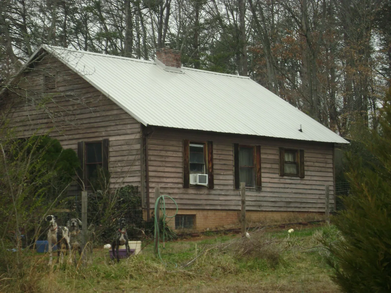 White metal roof on an old wood sided farmhouse, from a Asphalt Shingle Roof Repair job in White City